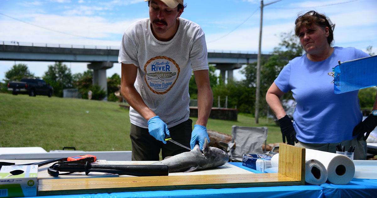 SU Hosts Annual Nanticoke River Invasive Fishing Derby July 20